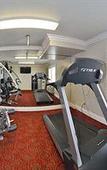 Туры в отель Best Western Burbank Airport Inn