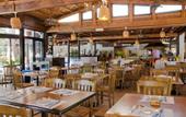 Туры в отель Paphos Gardens Holiday Resort