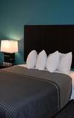 Туры в отель Best Western Apricot Inn