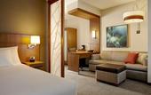 Туры в отель Hyatt Place Buffalo/Amherst