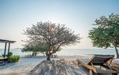 Туры в отель Paradee Resort