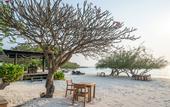Туры в отель Paradee Resort