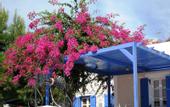 Туры в отель Paradise Santorini Resort