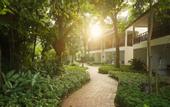 Туры в отель Paradise Beach Resort