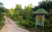 Туры в отель Paradise Flycatchers Lodge