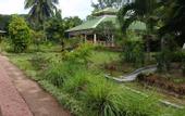 Туры в отель Paradise Flycatchers Lodge