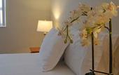 Туры в отель Towers of Dadeland by Miami Vacations