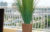 Туры в отель Towers of Dadeland by Miami Vacations