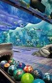 Туры в отель Big Cypress Lodge