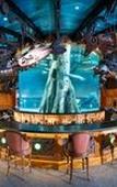 Туры в отель Big Cypress Lodge