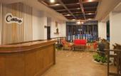 Туры в отель Areca Lodge