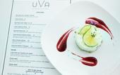 Туры в отель Novotel Miami Brickell