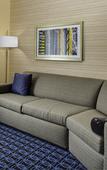 Туры в отель Fairfield Inn & Suites by Marriott Douglas