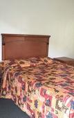 Туры в отель Golden Hills Motel