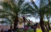 Туры в отель Parkway Inn Airport Motel Miami