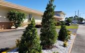 Туры в отель Parkway Inn Airport Motel Miami