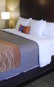 Туры в отель Comfort Inn & Suites