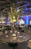 Туры в отель Hotel Indigo Naperville Riverwalk by IHG