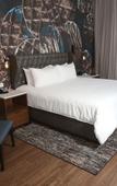 Туры в отель Hotel Indigo Naperville Riverwalk by IHG