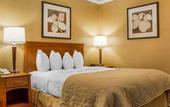 Туры в отель Clarion Hotel & Suites Riverfront