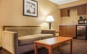 Туры в отель Clarion Hotel & Suites Riverfront