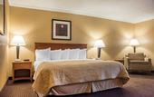 Туры в отель Clarion Hotel & Suites Riverfront
