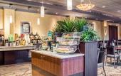 Туры в отель Clarion Hotel & Suites Riverfront