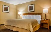Туры в отель Clarion Hotel & Suites Riverfront