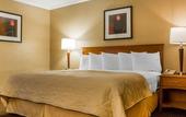 Туры в отель Clarion Hotel & Suites Riverfront
