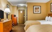 Туры в отель Clarion Hotel & Suites Riverfront