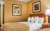 Туры в отель Clarion Hotel & Suites Riverfront