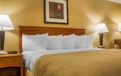 Туры в отель Clarion Hotel & Suites Riverfront