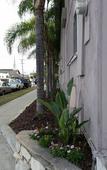 Туры в отель Del Aire Inn LAX