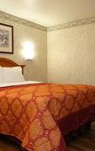 Туры в отель Tropic Lodge
