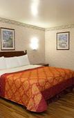 Туры в отель Tropic Lodge