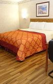 Туры в отель Tropic Lodge