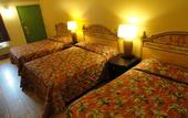 Туры в отель Sea Palace Motel