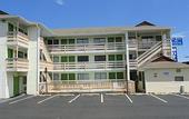 Туры в отель Sea Palace Motel