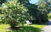 Туры в отель Cromwell Manor Inn