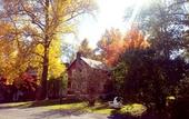 Туры в отель Cromwell Manor Inn