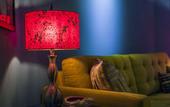 Туры в отель Zey Hotel