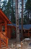 Туры в отель Evergreen Lodge Yosemite
