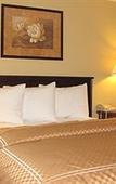 Туры в отель Mt Madison Inn & Suites
