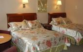 Туры в отель All Seasons Inn Corp
