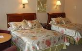 Туры в отель All Seasons Inn Corp