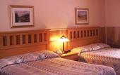 Туры в отель The Boha Hotel