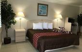 Туры в отель Apollo Inn Motel