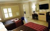 Туры в отель Apollo Inn Motel