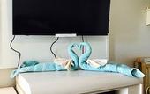 Туры в отель Apollo Inn Motel