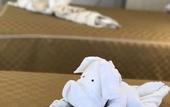 Туры в отель Apollo Inn Motel
